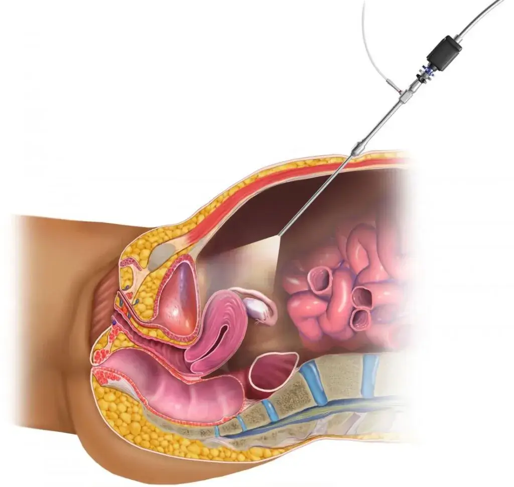 Pregnancy Care by Gynecologist in Kanpur