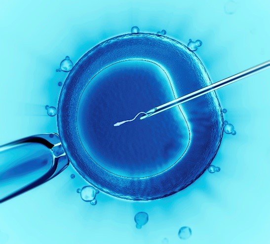 Best infertility doctor in Kanpur for personalised fertility treatment