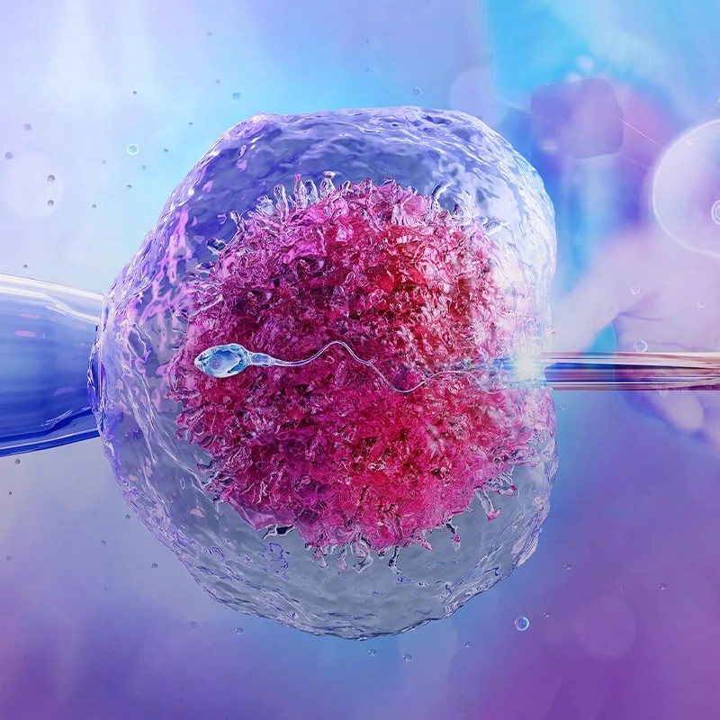 Best IVF doctor in Kanpur