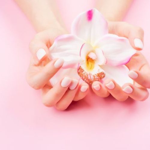 Labiaplasty (1)